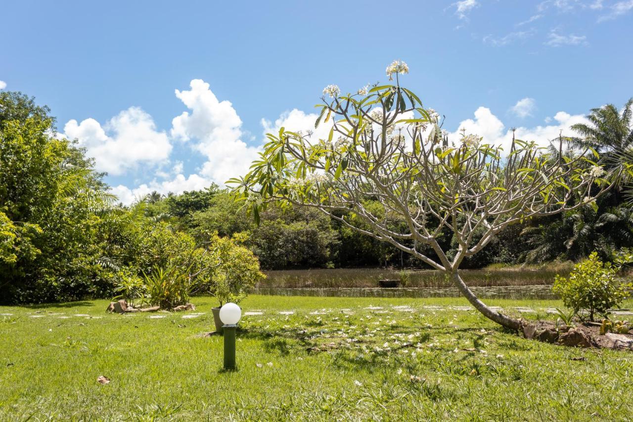 Pousada Lagoa Da Pedra Imbassai Luaran gambar