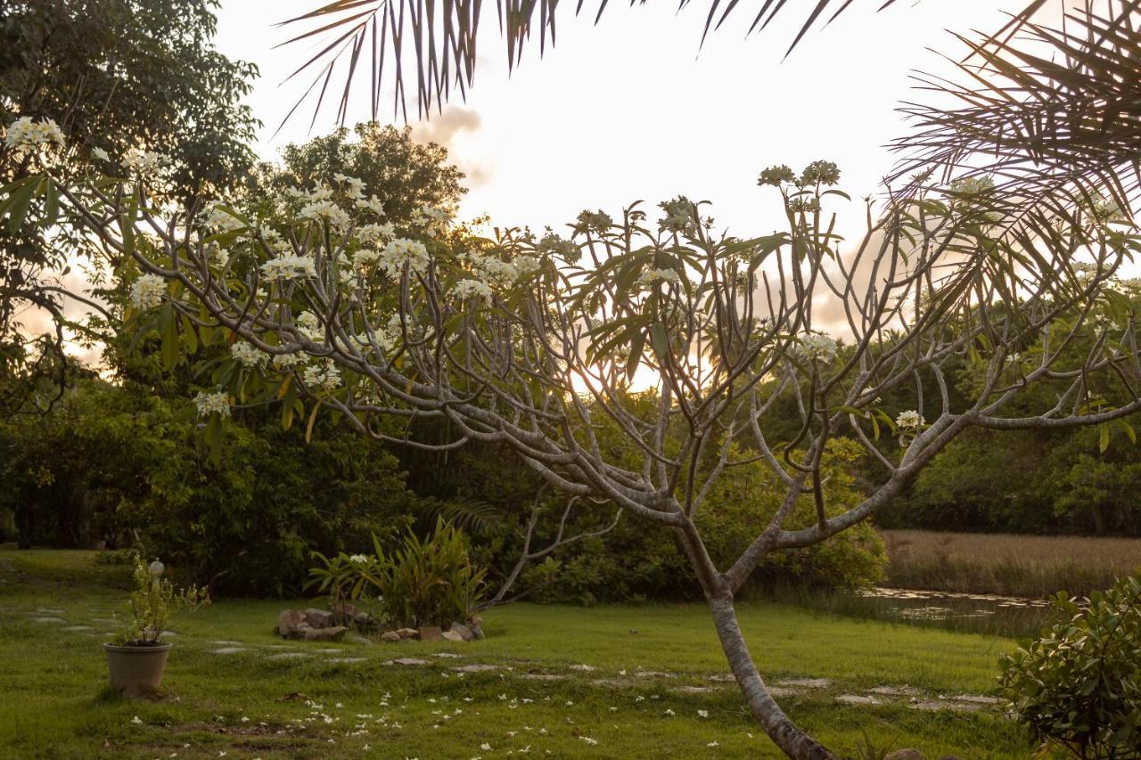 Pousada Lagoa Da Pedra Imbassai Luaran gambar